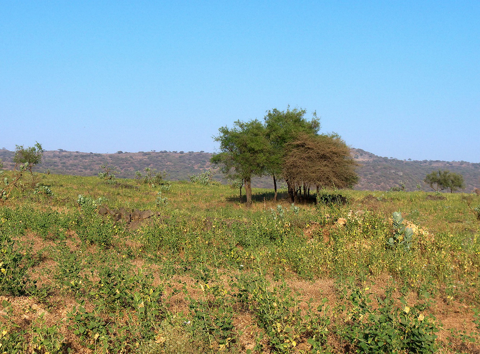 Eastern Salalah : A half-day Trip( 4 Hours)