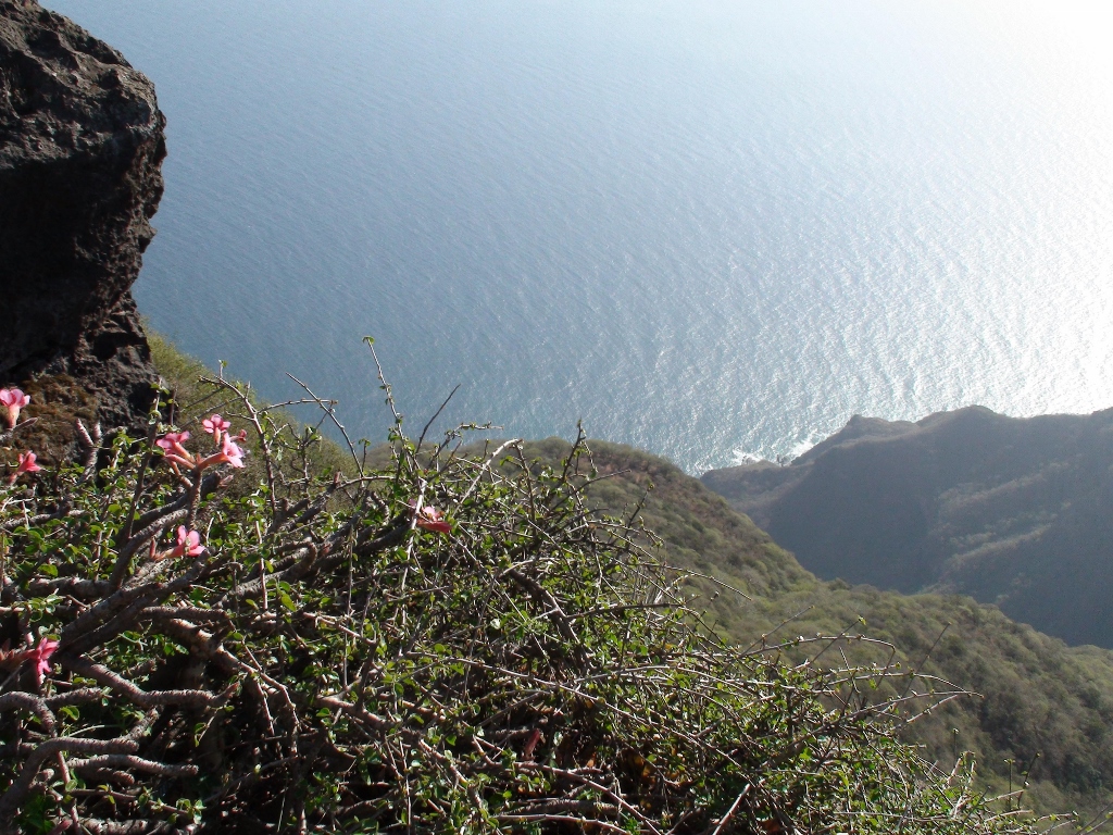 Dhofar Western Mountains