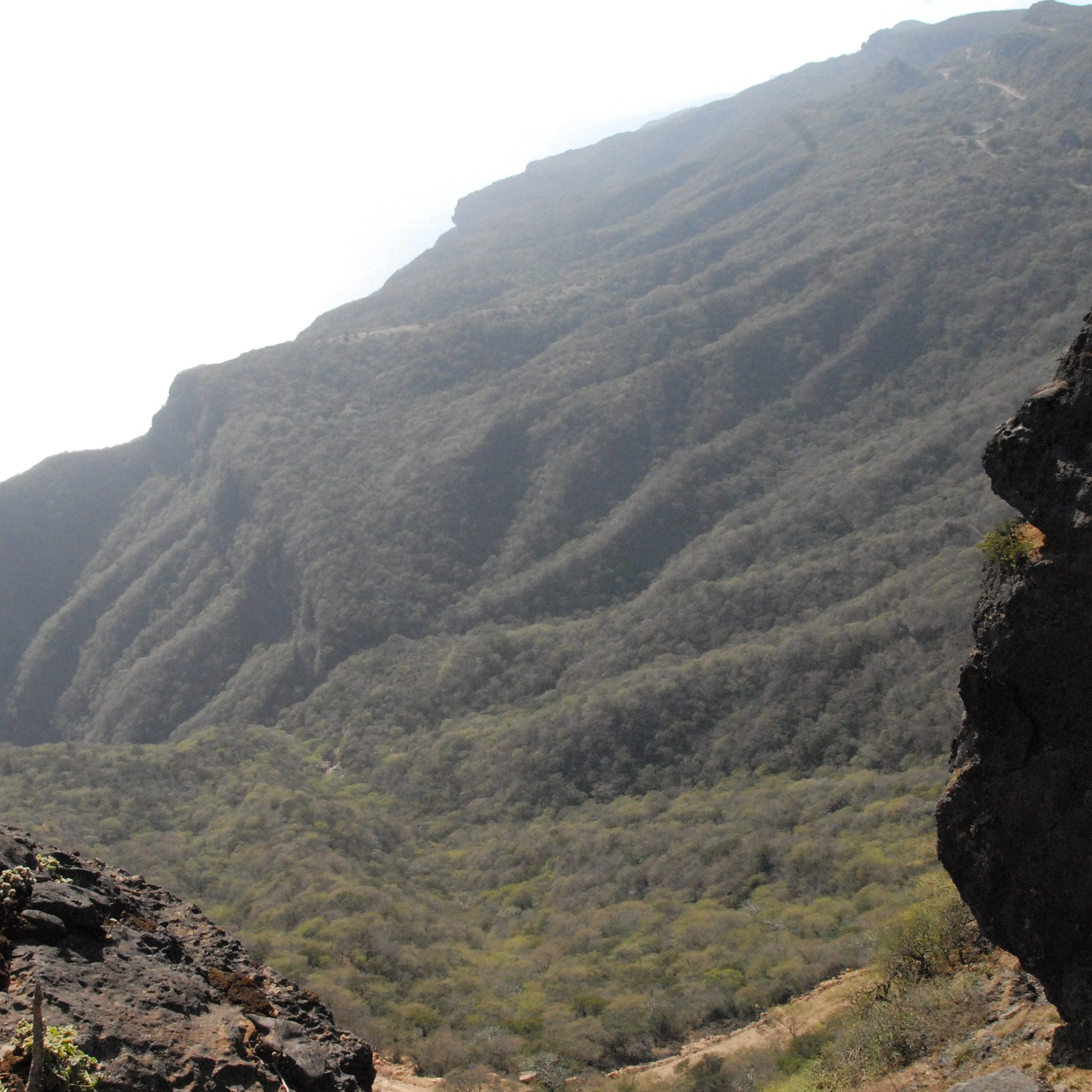 Dhofar Western Mountains
