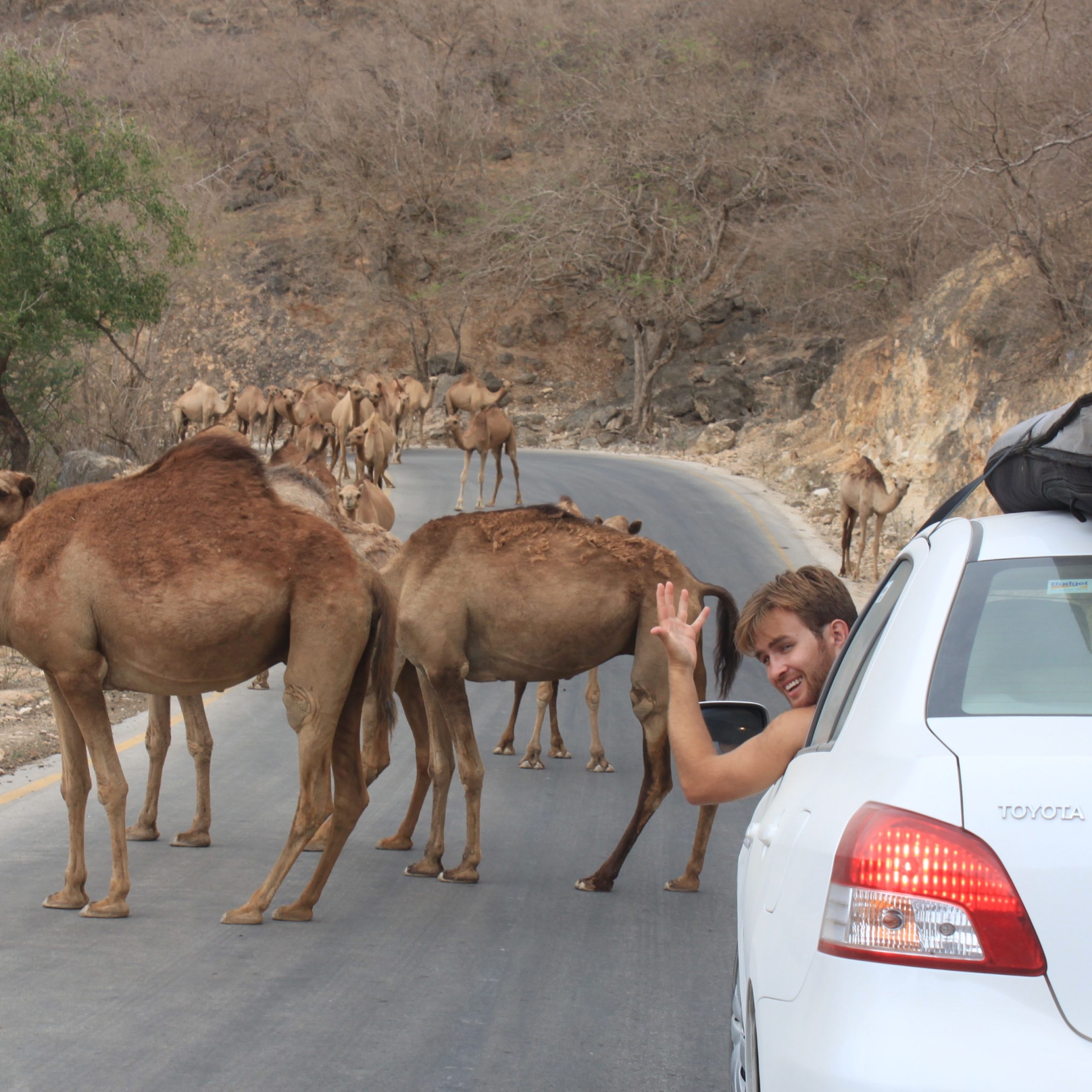 Dhofar Western Mountains